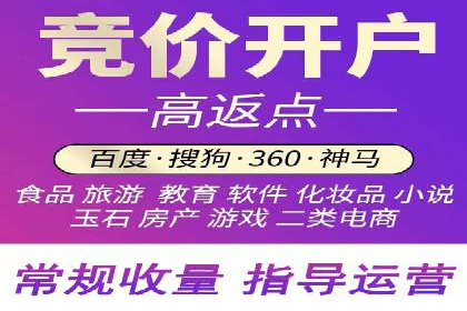 SEM专员案例：数据分析与优化
